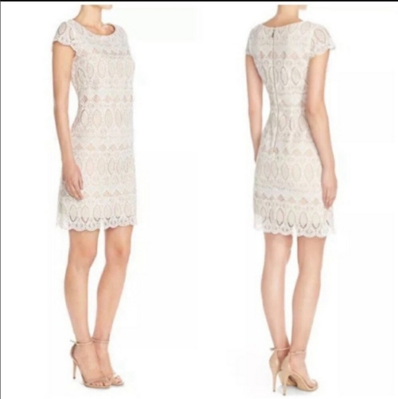 Eliza J Lace Cap Sleeve Shift Dress - Picture 11 of 12